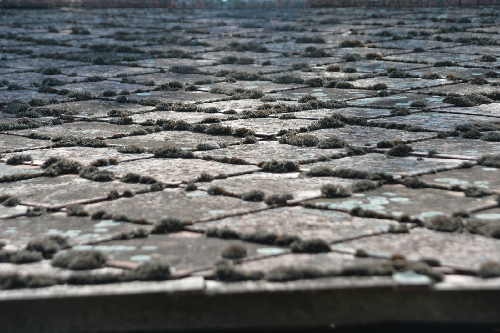 a close up view of a stone walkway
