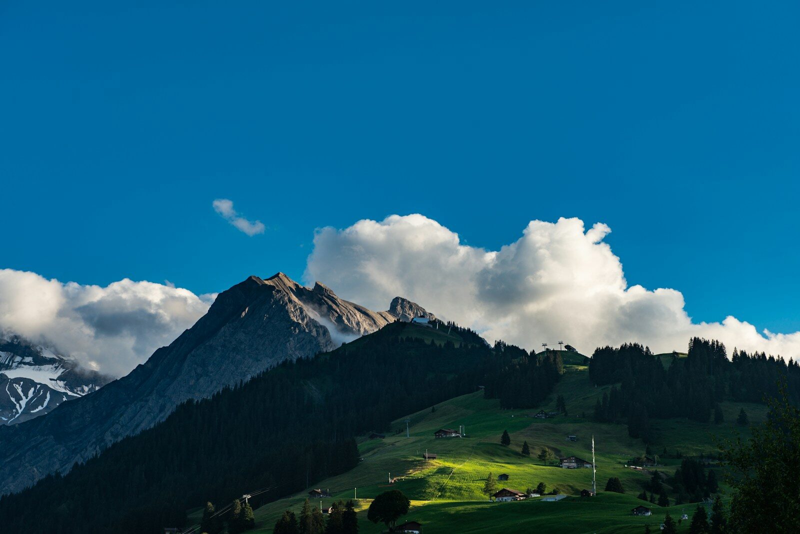 Photo by Olivier Miche landscape photography of trees and mountains