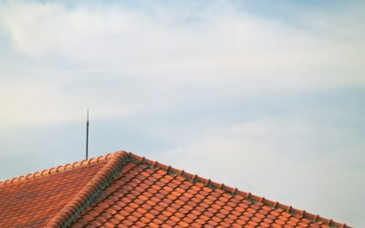Pourquoi faire vérifier les joints de dilatation par un Couvreur Ferblantier à Genève sur une toiture métallique ?