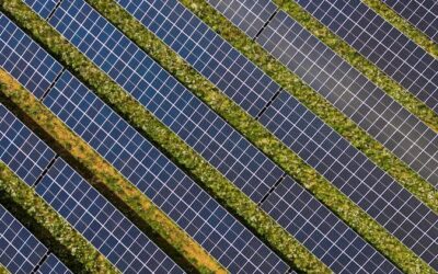 Comment éliminer les mousses lors d&rsquo;un Nettoyage de panneaux solaires à Genève ?