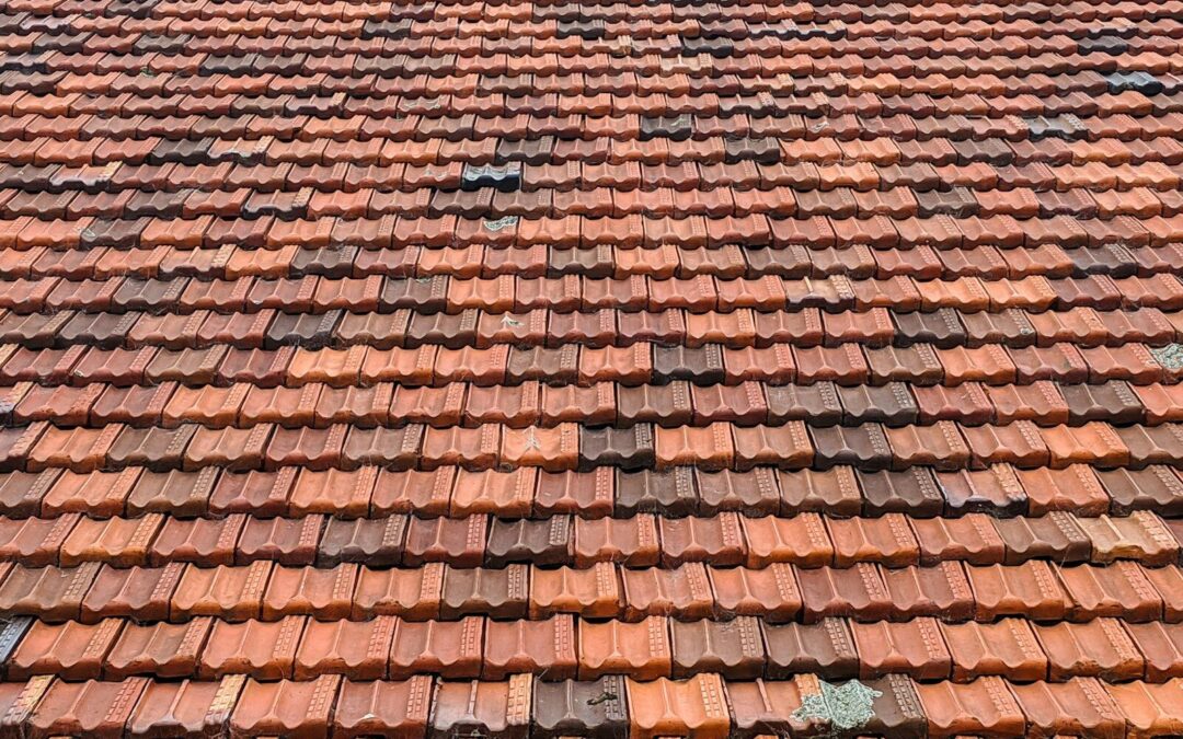 brown roof tiles in close up photography