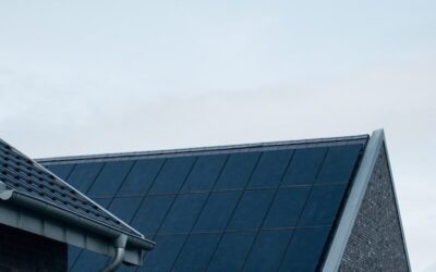 Les pollens printaniers nécessitent-ils un Nettoyage de panneaux solaires à Genève ?