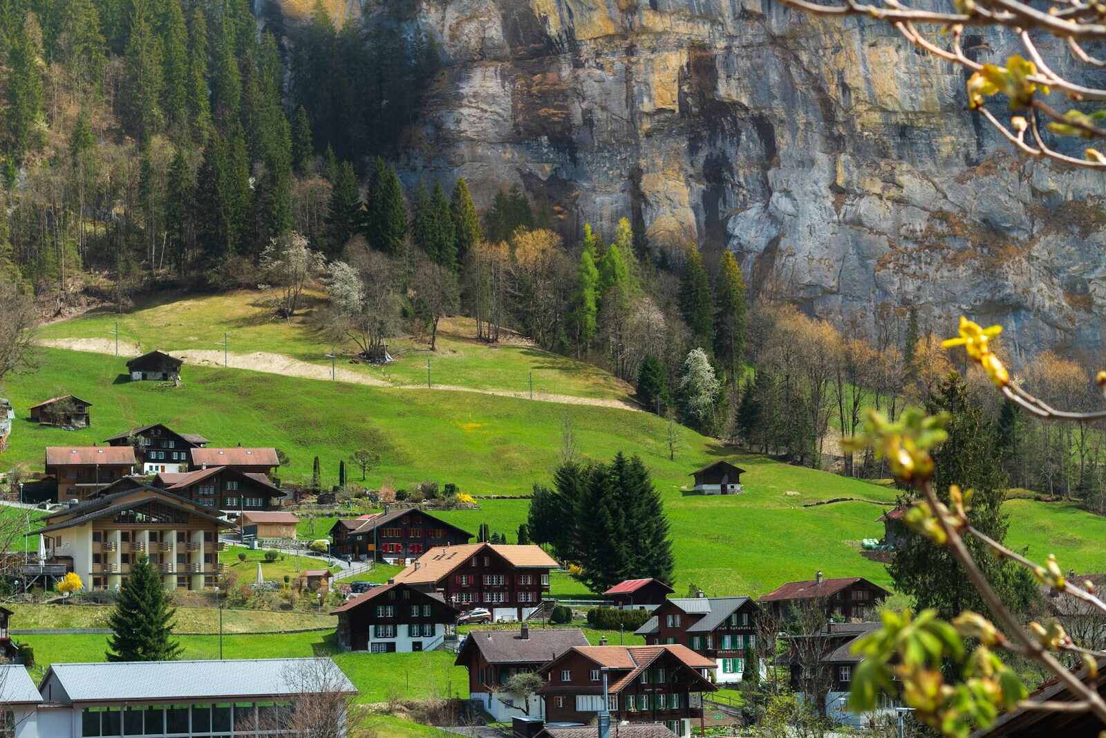 Photo by David Ramos brown houses on green field